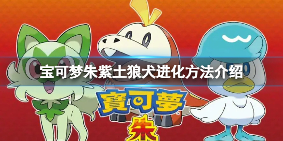 �����������ϡ�����Ȯ��ô����������Ȯ������������