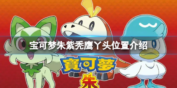 �����������ϡ�ͺӥѾͷ��ô������ͺӥѾͷ������������