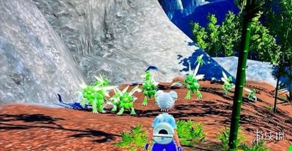 《宝可梦朱紫》飞天螳螂前期抓捕位置 《宝可梦朱紫》飞天螳螂前期抓捕位置