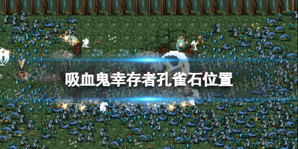 ����Ѫ���Ҵ��ߡ���ȸʯ��ô������ ��ȸʯλ��