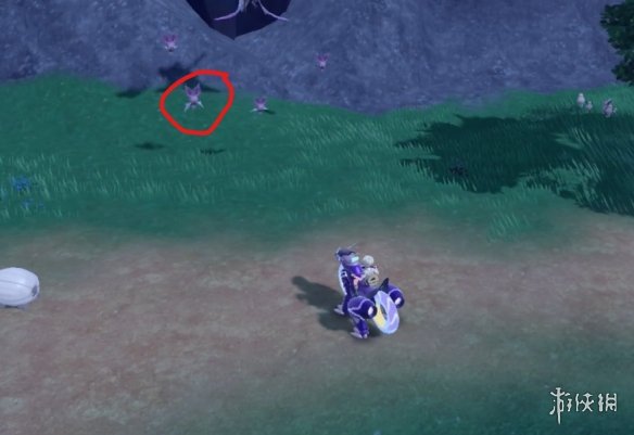 �����������ϡ����𲶻���