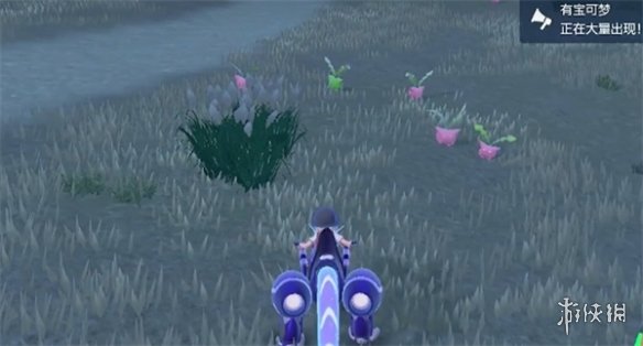 �����������ϡ���Ӳݲ�׽λ��