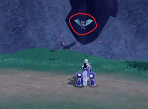 �����������ϡ�������������