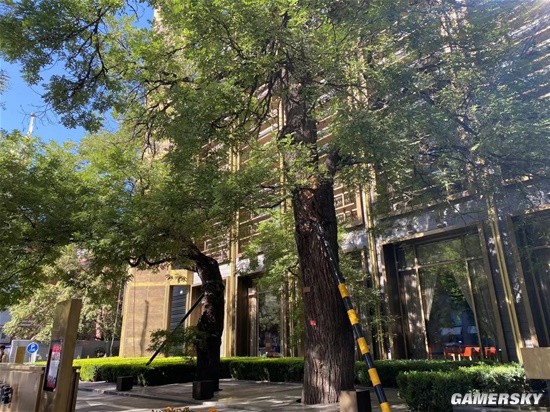 �Ĵ�����֮�󣬡������޼䡷������������������