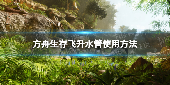 ���������������ˮ����ô�ã� ˮ��ʹ�÷���