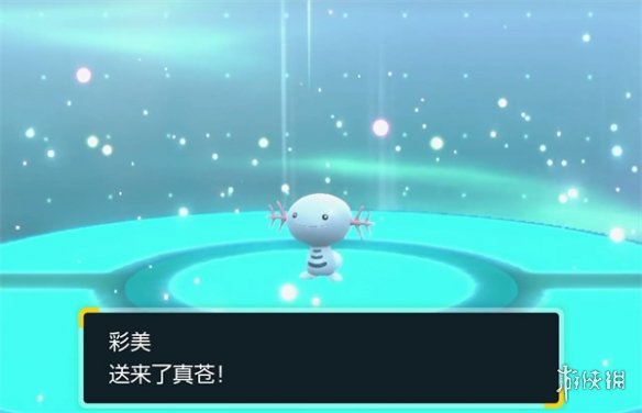 �����������ϡ��ڲ���׽λ��