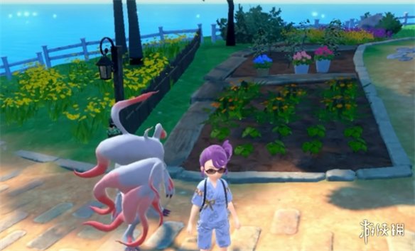 �����������ϡ��ո۷��������