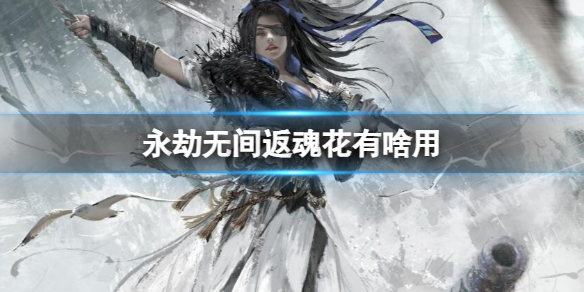 �������޼䡷���껨���ý���