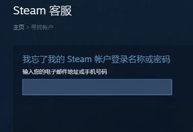 steam˺ǽ