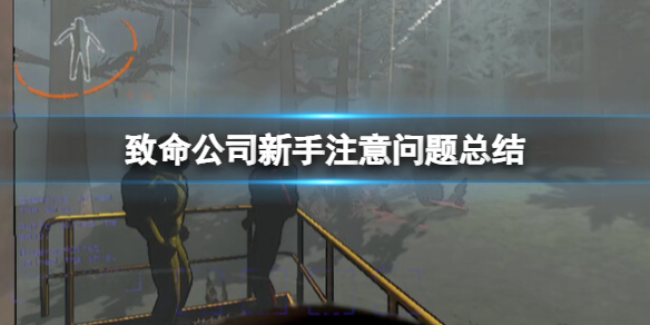 ��������˾������ע�������ܽ� ����Ҫע��ʲô��