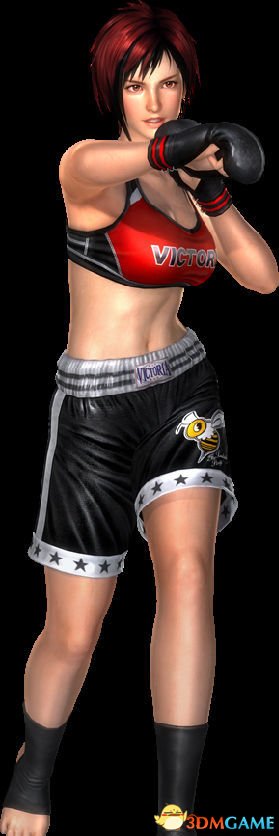 死或生5:最后一战全女性角色介绍 各个都很凶悍 死或生5:最后一战全女性角色介绍 各个都很凶悍