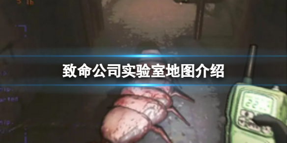 ��������˾��ʵ���ҵ�ͼ����