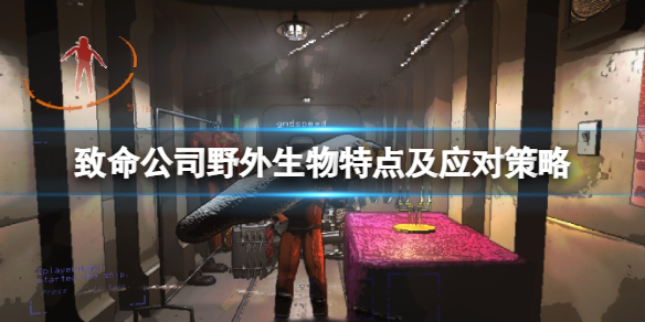 ��������˾��Ұ��������ôӦ�ԣ�