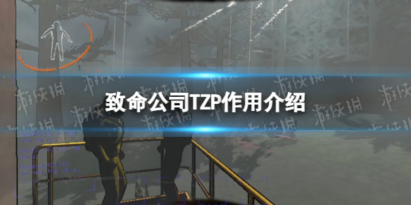 ��������˾��TZP���ý���