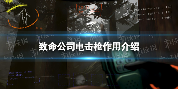 ��������˾�����ǹ���ý���