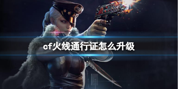 ��cf������ͨ��֤��������