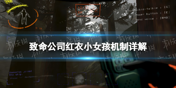 ��������˾������СŮ���������