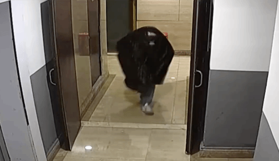 ��ʵ�桶�Ͻ�װ������һ���������ϴ�αװ͵�Ա���