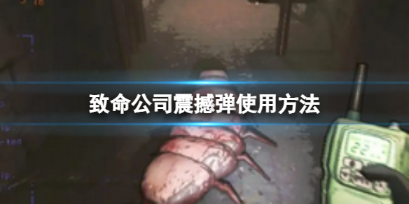 ��������˾���𺳵�ʹ�÷���