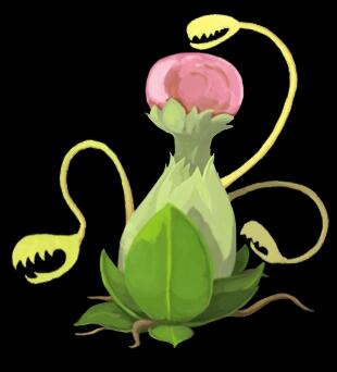 ��ɱ¾�������߻��򷨹���