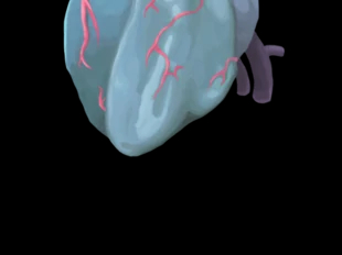 ɱ¾֮ļܹ