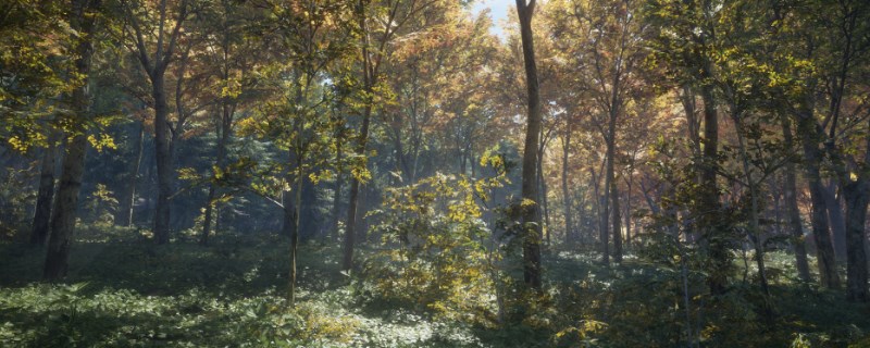 �����ˣ���Ұ�ĺ��������ٺ����ĺ�β¹����