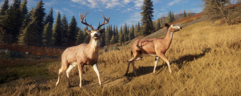 �����ˣ���Ұ�ĺ�������ϣ�Ѷ��ǵ���¹����