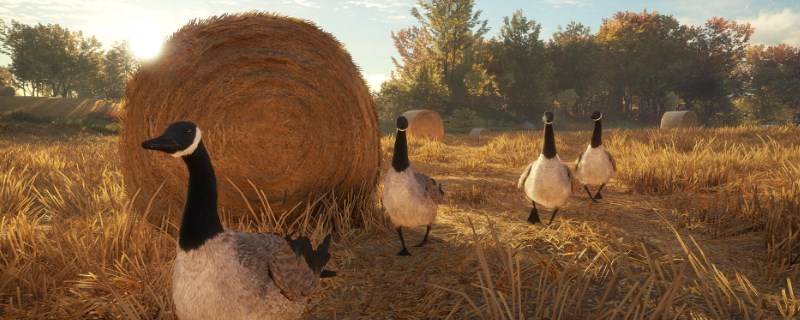 �����ˣ���Ұ�ĺ��������϶����¹����