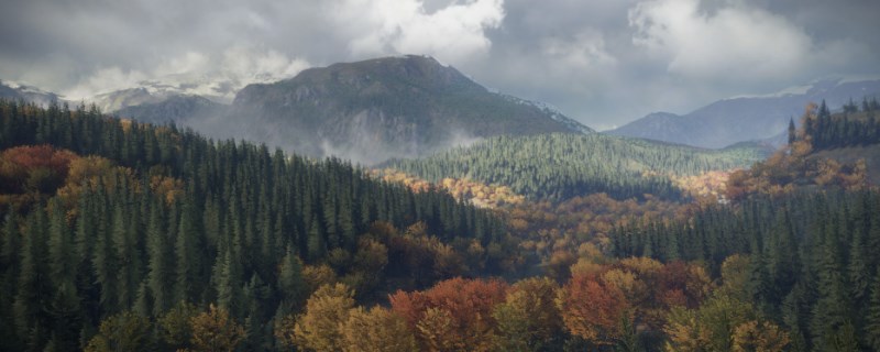 �����ˣ���Ұ�ĺ��������������޺�������