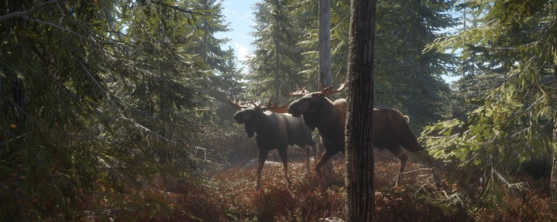 �����ˣ���Ұ�ĺ���������Լ�İ�β¹����