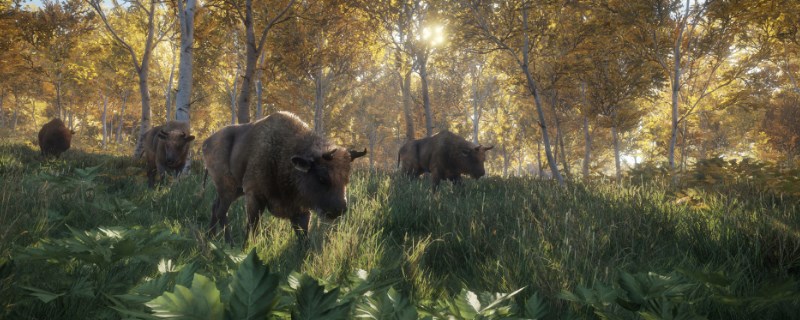 �����ˣ���Ұ�ĺ���������ͼ��Ļ�β黼�����