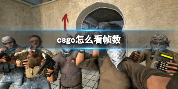 ��csgo����֡������