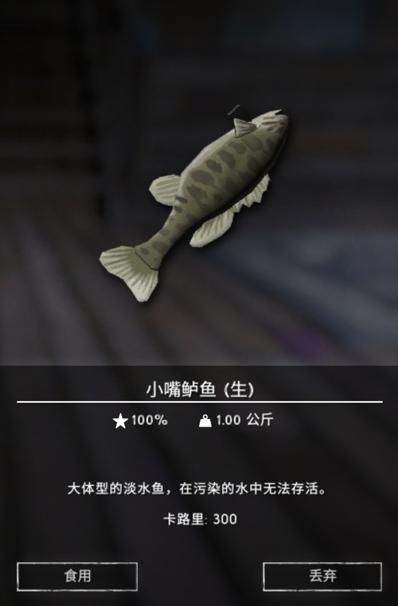 ��������ҹ��С��������ʲô��