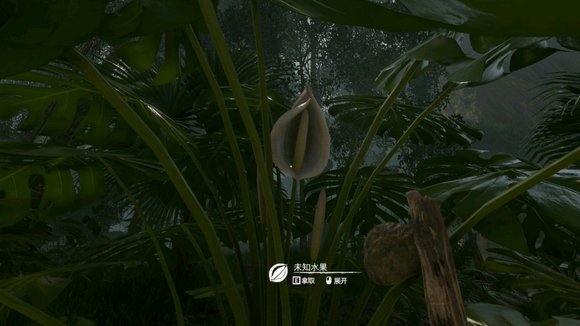 ����ɫ�������걳�����ʲô��