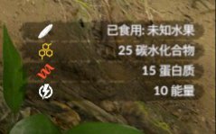 ����ɫ�����������ʲô��