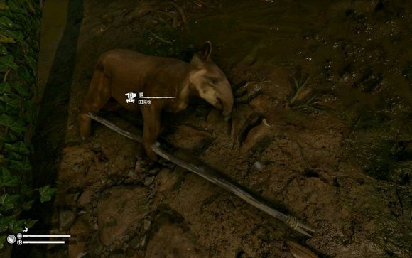 ����ɫ����������ʲô��