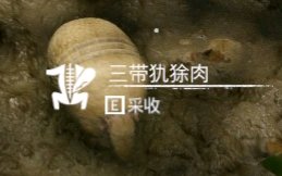 ����ɫ����������������ʲô��