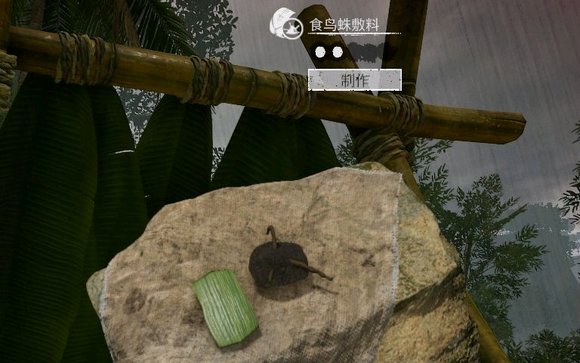 ����ɫ����������ѷʳ������ʲô��