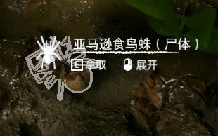 ����ɫ����������ѷʳ������ʲô��