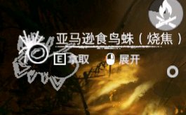 ����ɫ����������ѷʳ������ʲô��