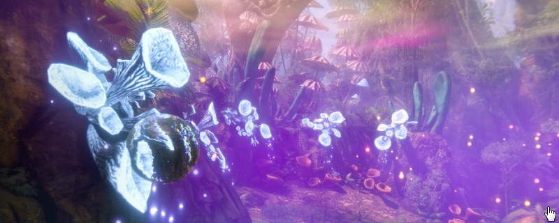 ����ɫ��������������ʲô��