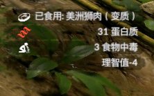 ����ɫ����������ʨ��ʲô��