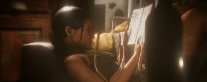 ����ɫ����������ʨ��ʲô��