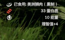 ����ɫ����������ʨ��ʲô��