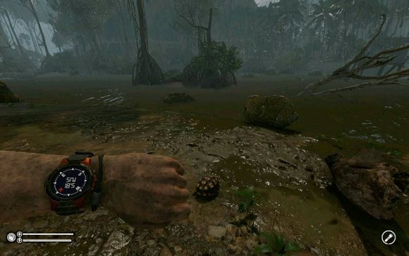 ����ɫ����������ڹ���ʲô��