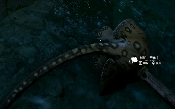 ����ɫ�����������ʲô��