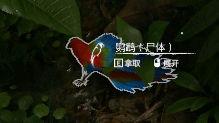 ����ɫ���������������ʲô��