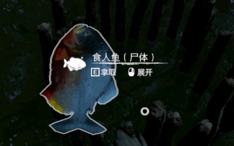 ����ɫ������ʳ������ʲô��