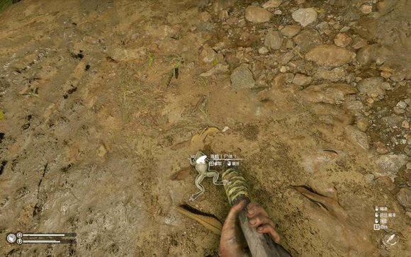 ����ɫ�������������ʲô��