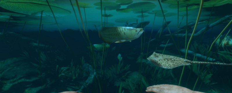 ����ɫ������С��ͷ��ʲô��